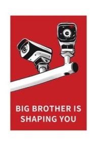 Big Brother Is Shaping You