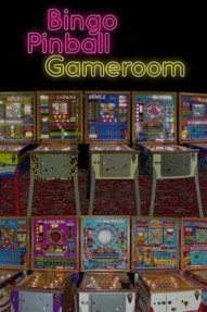 Bingo Pinball Gameroom