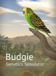 Budgie Genetics Simulator
