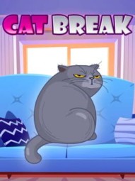 Cat Break
