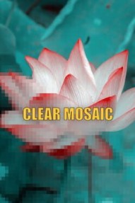 Clear Mosaic