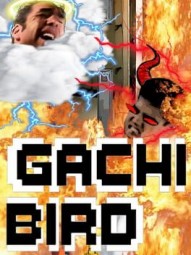 Gachi Bird