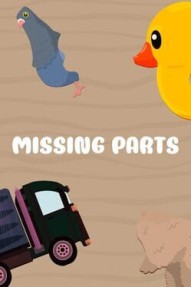 Missing parts