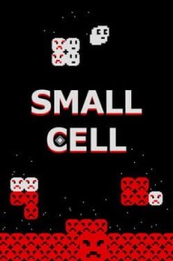 Small Cell