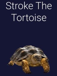 Stroke the Tortoise