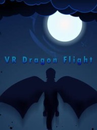 VR Dragon Flight